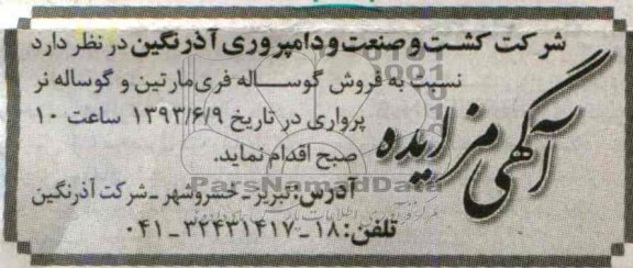 آگهی مزایده, مزایده فروش گوساله فری مارتین و گوساله