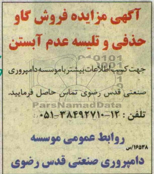 مزایده , مزایده فروش گاو حذفی و تلیسه عدم آبستن