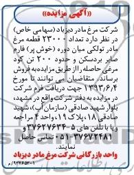مزایده , مزایده تعداد 23000 قطعه مرغ مادر تولکی