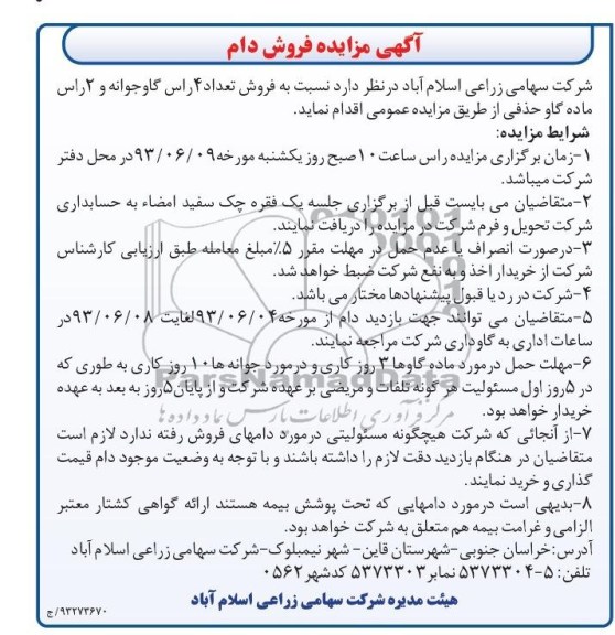 مزایده فروش دام , مزایده فروش دام فروش تعداد 4 راس گاو جوانه