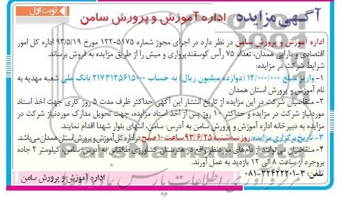 مزایده , مزایده تعداد 75 راس گوسفند پرواری و میش