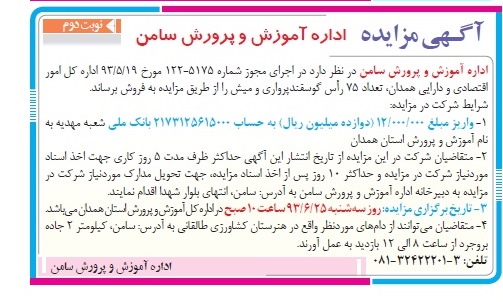 مزایده , مزایده تعداد 75 راس گوسفند پرواری و میش