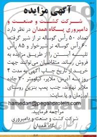مزایده , مزایده تعداد 50 راس گوساله نر