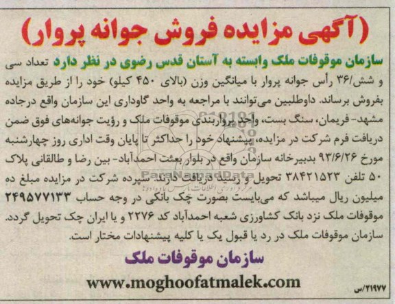 آگهی مزایده فروش, مزایده فروش جوانه پروار