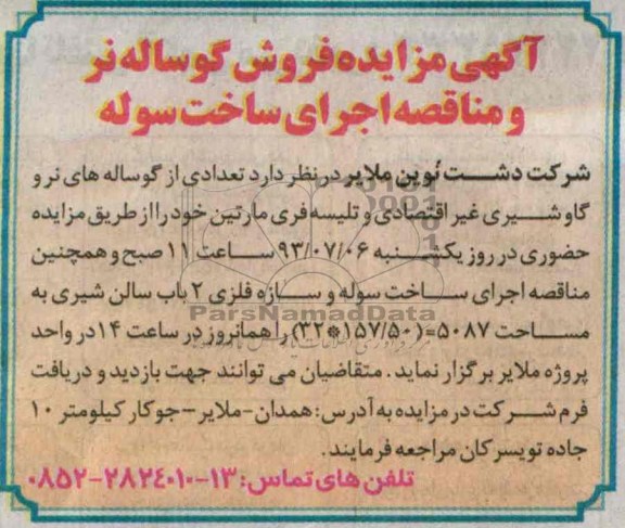 مزایده , مزایده فروش گوساله نر