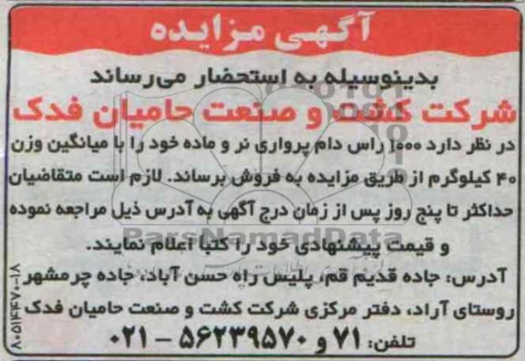 آگهی مزایده, مزایده 1000 راس دام پرواری نر و ماده