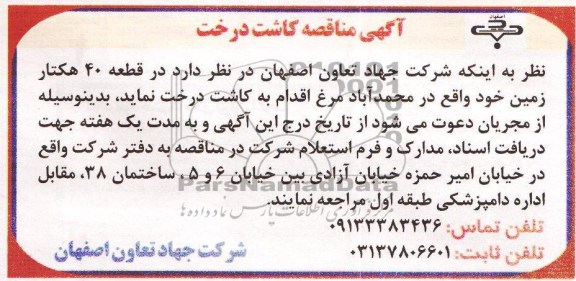 مناقصه, مناقصه کاشت درخت