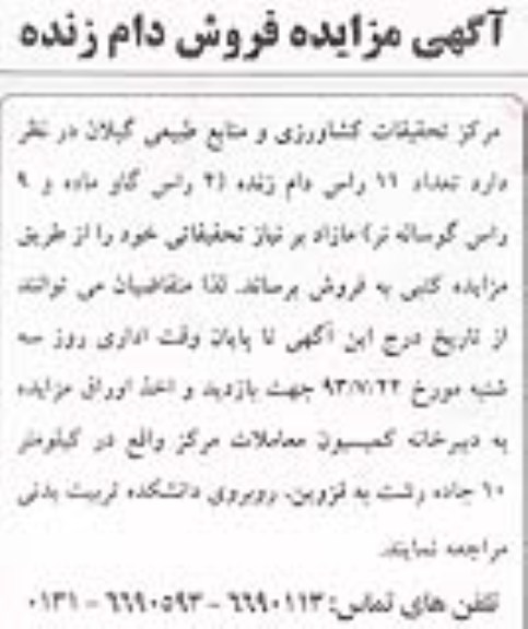 آگهی مزایده,مزایده فروش تعداد 11 راس دام زنده