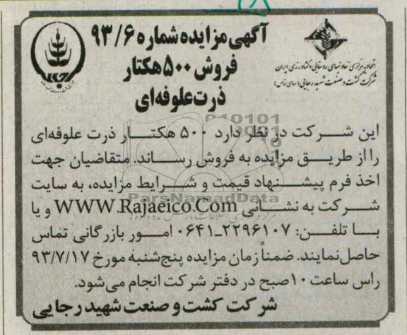 آگهی مزایده,مزایده فروش 500 هکتار ذرت علوفه ای