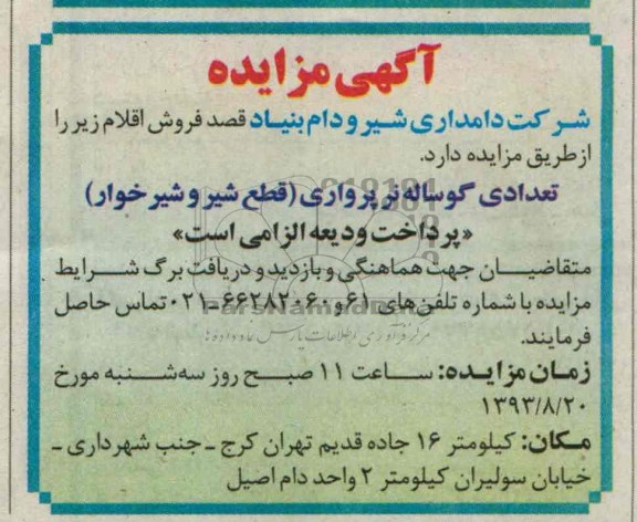 آگهی مزایده,مزایده تعدادی گوساله نر پرواری 