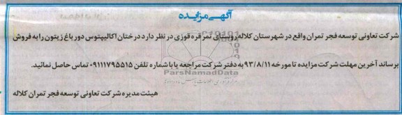 آگهی مزایده ,مزایده اکالیپتوس دور باغ