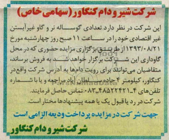 مزایده , مزایده تعدادی گوساله نر و گاو غیرآبستن