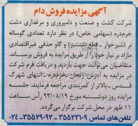 مزایده فروش دام , مزایده فروش تعدادی گوساله نر