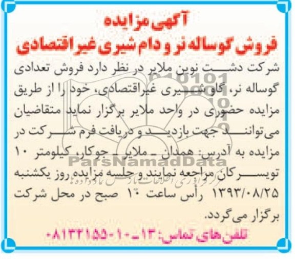 آگهی مزایده,مزایده فروش گوساله نر و دام شیری غیر اقتصادی