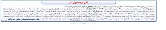 مزایده فروش دام , مزایده فروش دام فروش تعداد 5 راس گاو جوانه و 2 راس ماده گاو حذفی