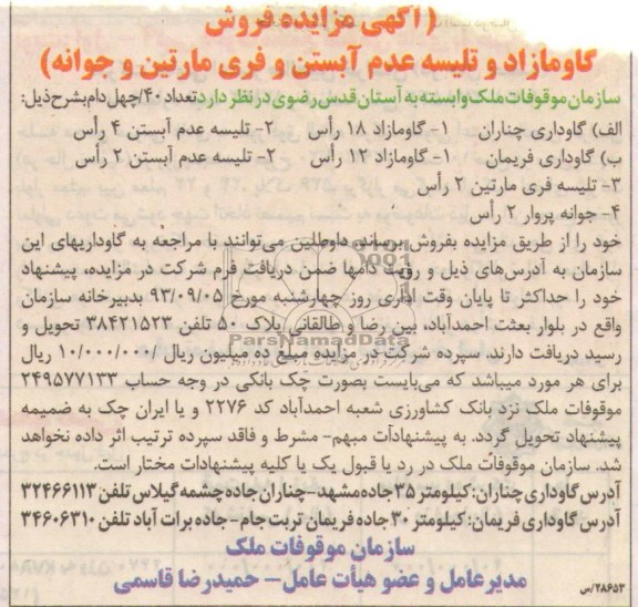 مزایده , مزایده تعداد 40 چهل دام