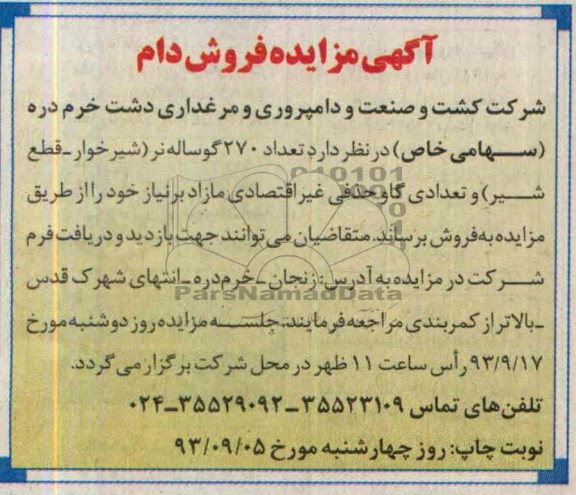 مزایده فروش دام ,مزایده فروش تعداد 270 گوساله نر