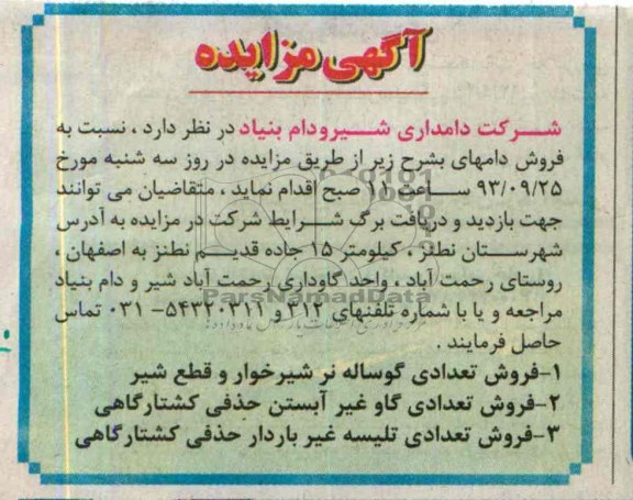 آگهی مزایده,مزایده فروش تعدادی گوساله نر شیرخوار و قطع شیر