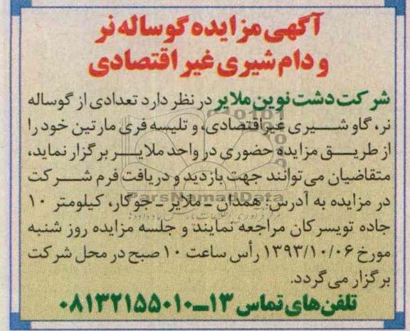 آگهی مزایده ,مزایده گوساله نر و دام شیری