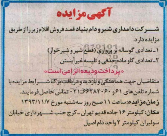 آگهی مزایده ,مزایده گوساله نر