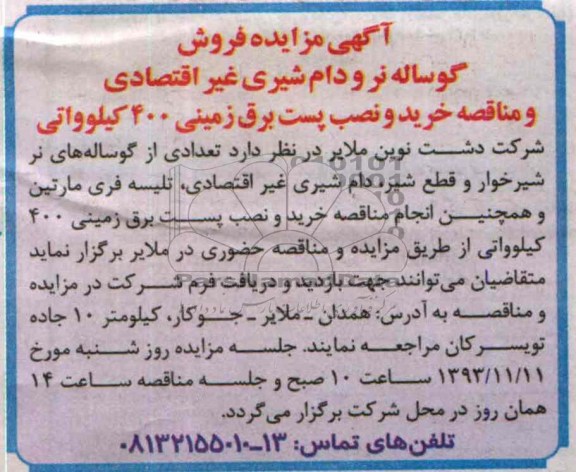 آگهی مزایده ,مزایده فروش گوساله نر و دام شیری