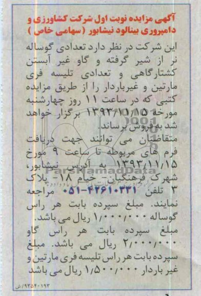 آگهی مزایده,مزایده تعدادی گوساله نر