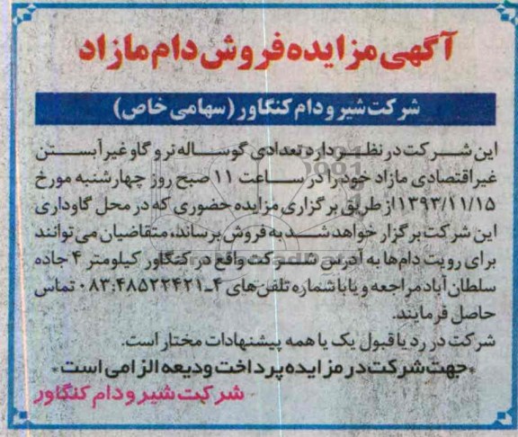 آگهی مزایده ,مزایده تعدادی گوساله نر