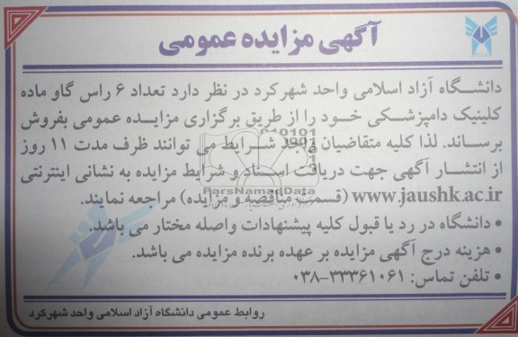 آگهی مزایده عمومی , مزایده فروش تعداد شش راس گاو ماده