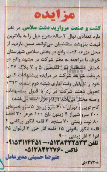 مزایده , مزایده تعدادی نهال 2 ساله