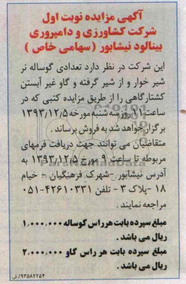 آگهی مزایده,مزایده تعدادی گوساله نر