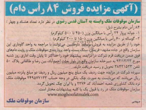 آگهی مزایده،  مزایده فروش 84 رأس دام 