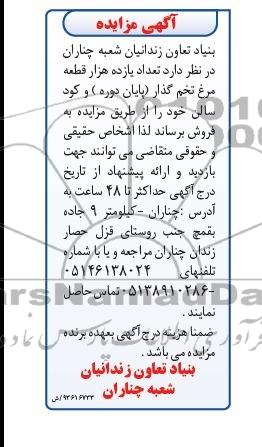 آگهی مزایده , مزایده فروش تعداد یازده هزار قطعه مرغ تخم گذار 