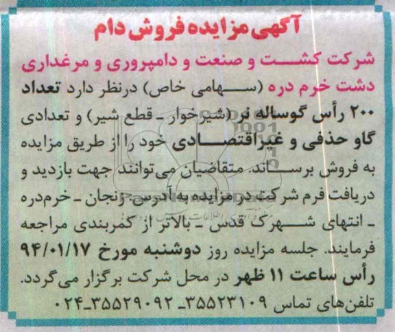 مزایده , مزایده فروش تعداد 200 گوساله نر