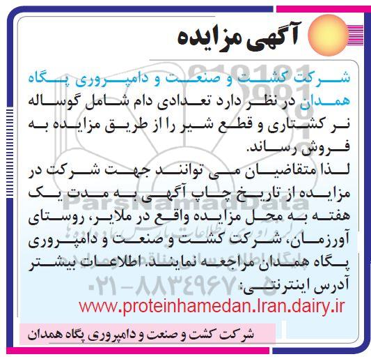 آگهی مزایده ,مزایده فروش تعدادی دام شامل گوساله نر کشتاری و قطع شیر