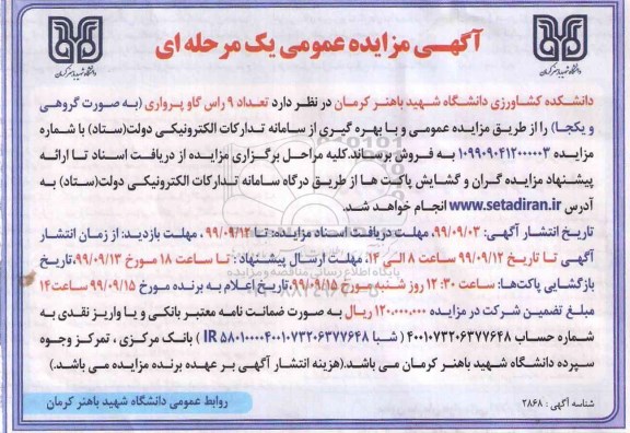 مزایده،مزایده  تعداد 9 راس گاو پرواری 