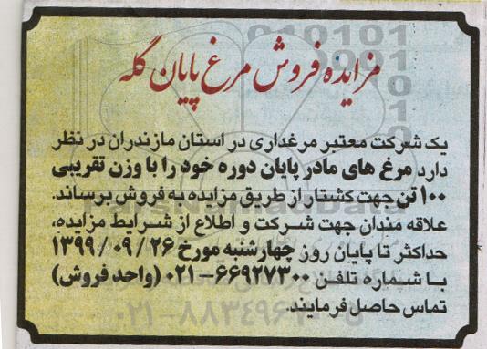 مزایده, مزایده فروش مرغ پایان گله 