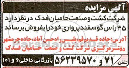 مزایده ، مزایده فروش 45 راس گوسفند پرواری