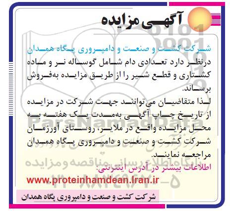 آگهی مزایده , مزایده فروش تعدادی دام شامل گوساله نر و ماده کشتاری و قطع شیر