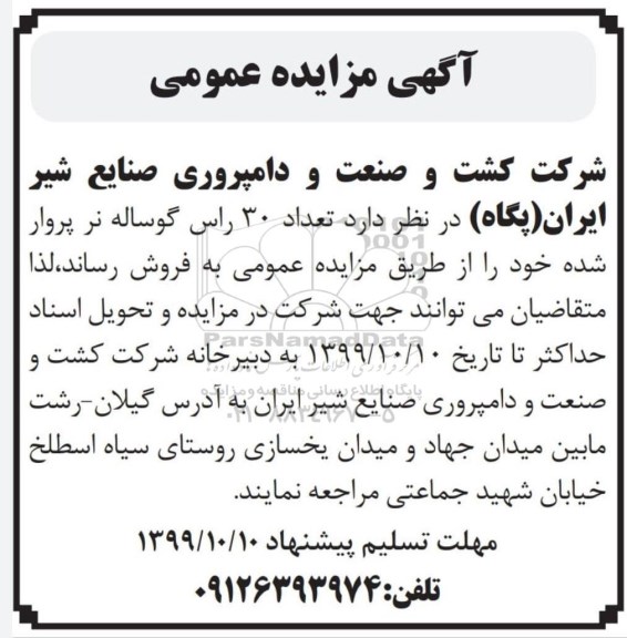 مزایده عمومی ، مزایده فروش تعداد 30 راس گوساله نر پروار شده