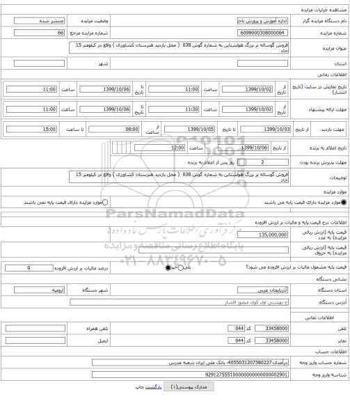 فروش گوساله نر بزرگ هولشتاین به شماره گوش 038 ( محل بازدید هنرستان کشاورزی ) واقع در کیلومتر 15 جاد