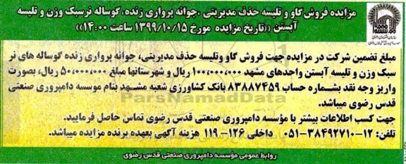 مزایده فروش گاو و تلیسه حذف مدیریتی ...