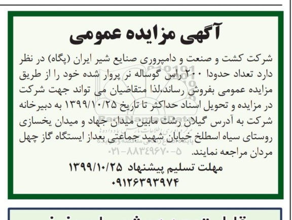 مزایده عمومی ، مزایده فروش تعداد حدودا 200 راس گوساله نر