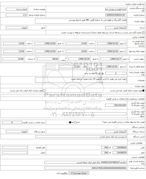 فروش گاو بزرگ نر هولشتاین به شماره گوش 981 طبق شرایط پیوستی