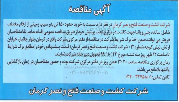 مناقصه خرید حدود 150 تن بذر سیب زمینی