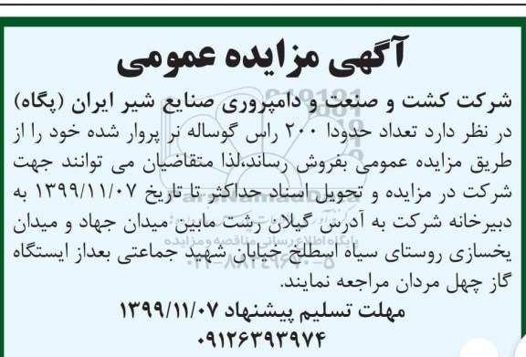 مزایده عمومی ، مزایده فروش تعداد حدودا 200 راس گوساله نر