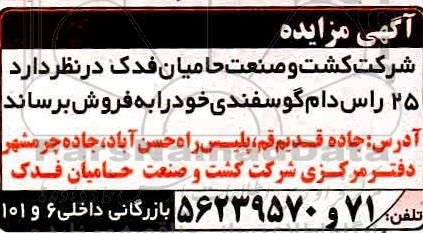 مزایده , مزایده فروش 25 راس دام گوسفندی