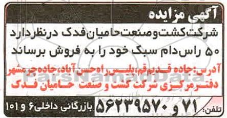مزایده ,مزایده فروش 50 راس دام سبک
