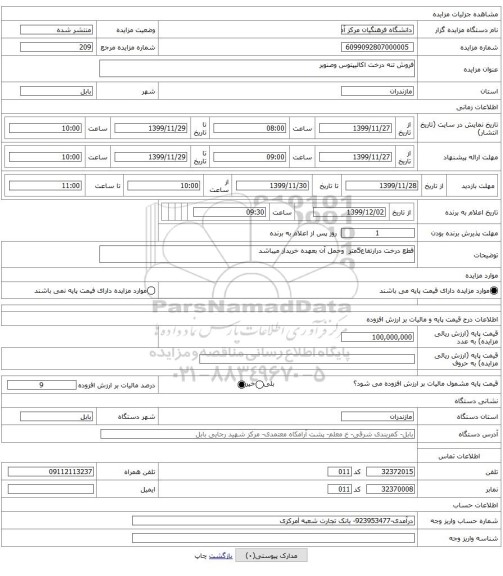 فروش تنه درخت اکالیپتوس وصنوبر