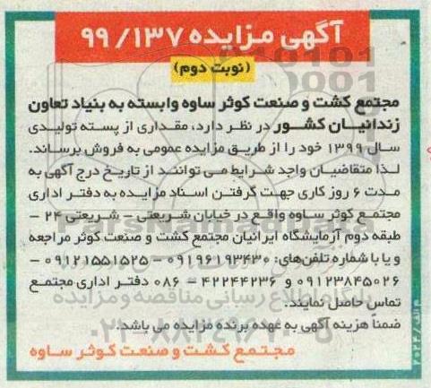 آگهی مزایده ، مزایده فروش مقداری از پسته تولیدی سال 1399- نوبت دوم