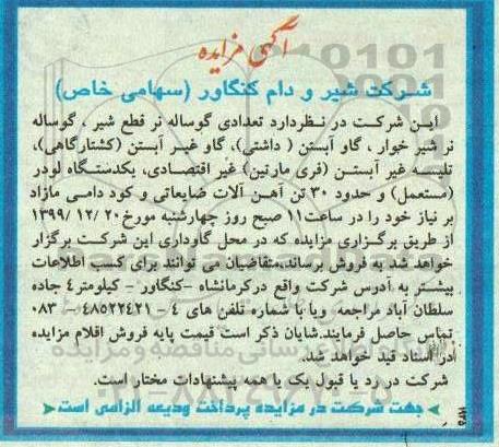 مزایده, مزایده تعدادی گوساله نر قطع شیر، گوساله نر شیرخوار ...